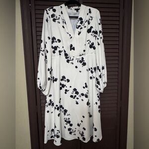 Ann Taylor Floral Shawl Collar Dress in Winter White and Black Size 8 Classic